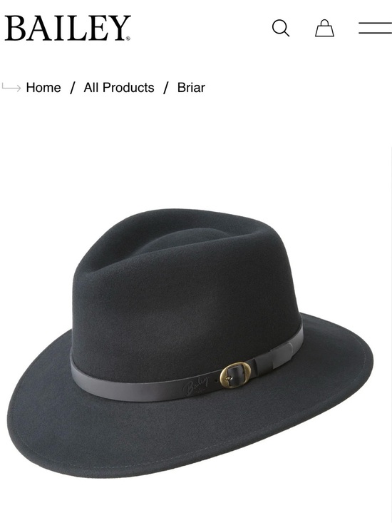 Bailey Of Hollywood Accessories - Bailey “Briar” Black Felt Fedora with Leather Band